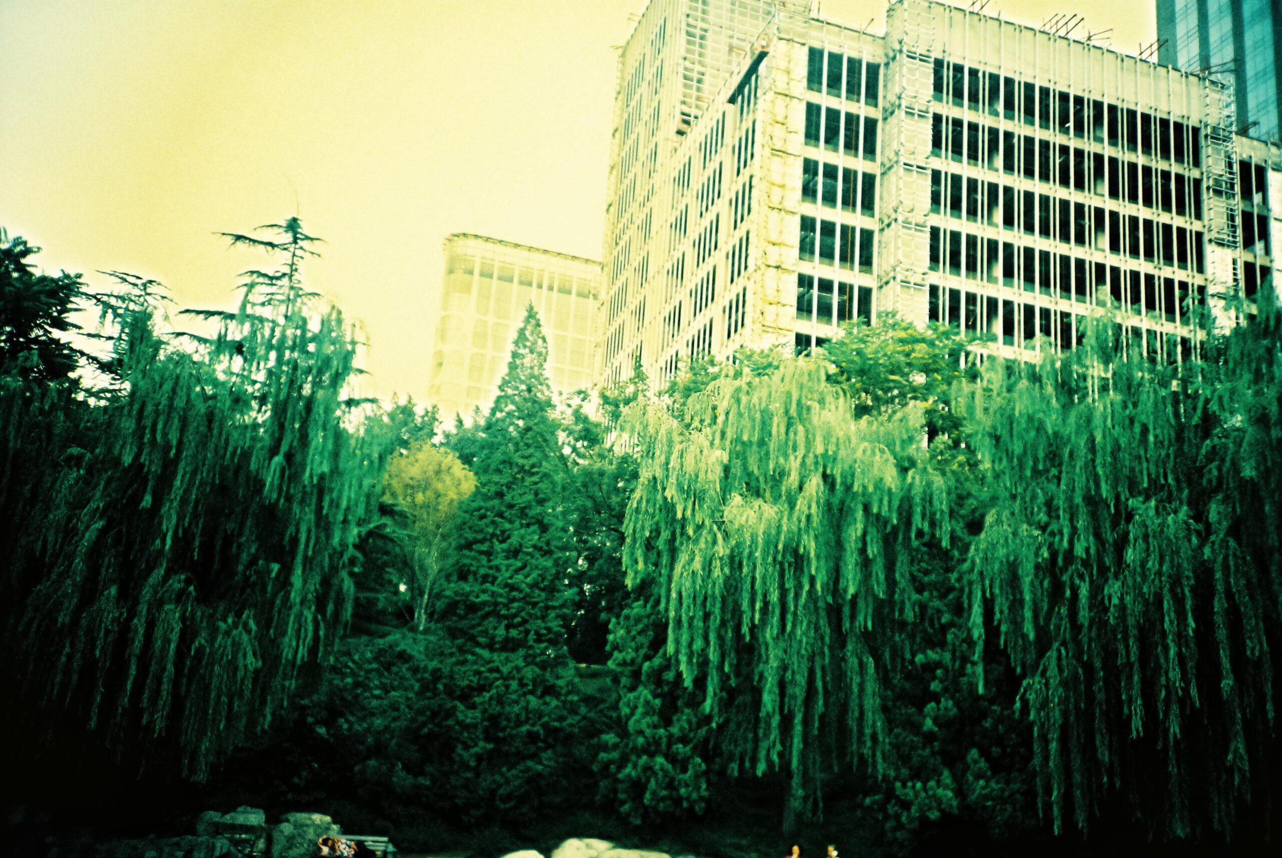 instaCDV 15 China roll02 BeijingHood 000018