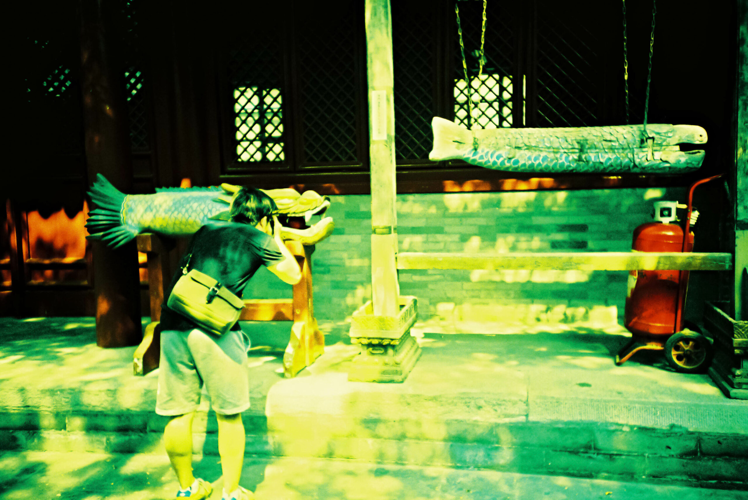 instaCDV 15 China roll07 BeijingMonastery 000037