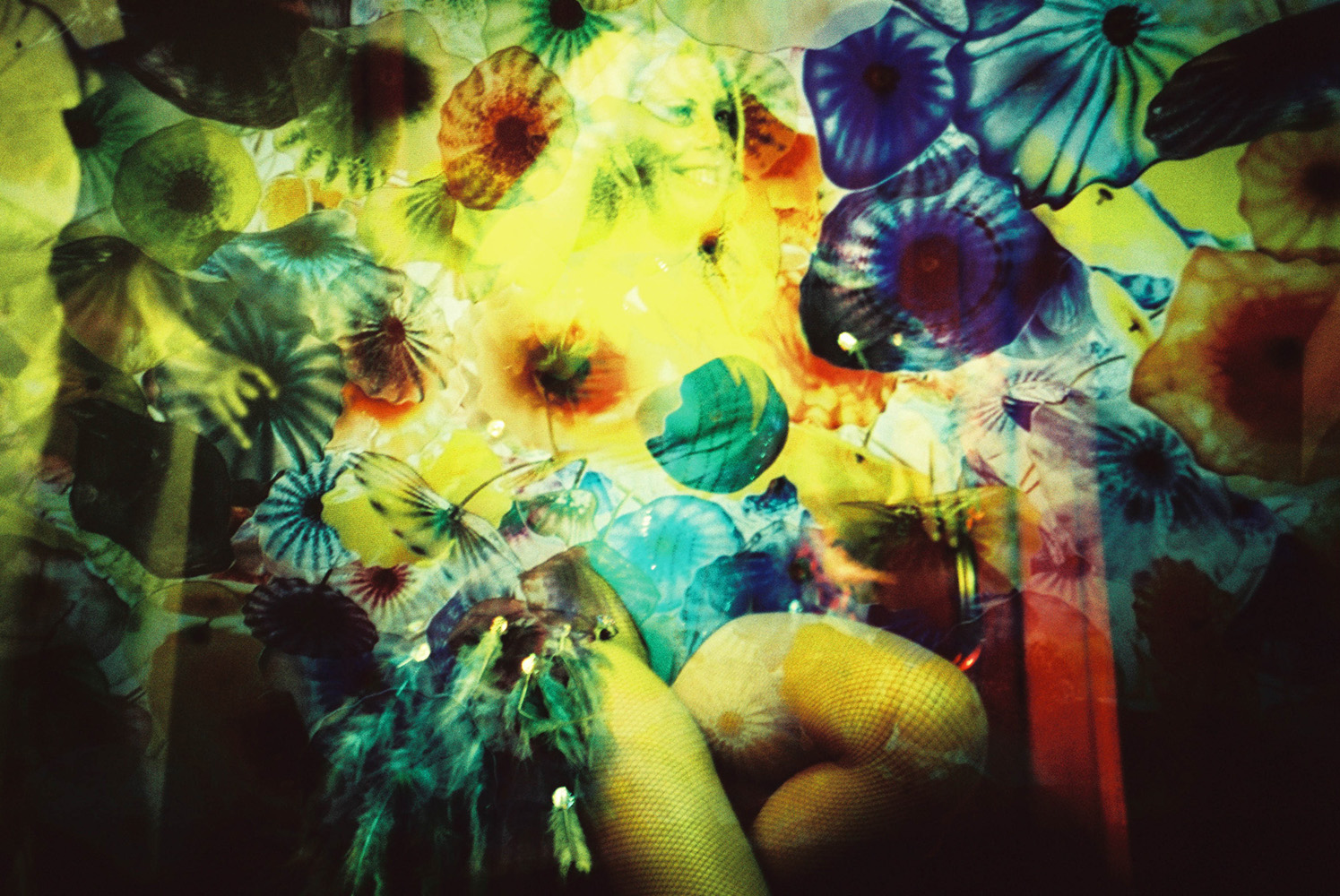 instaCDV 21 lomo BonteAvonden 000033