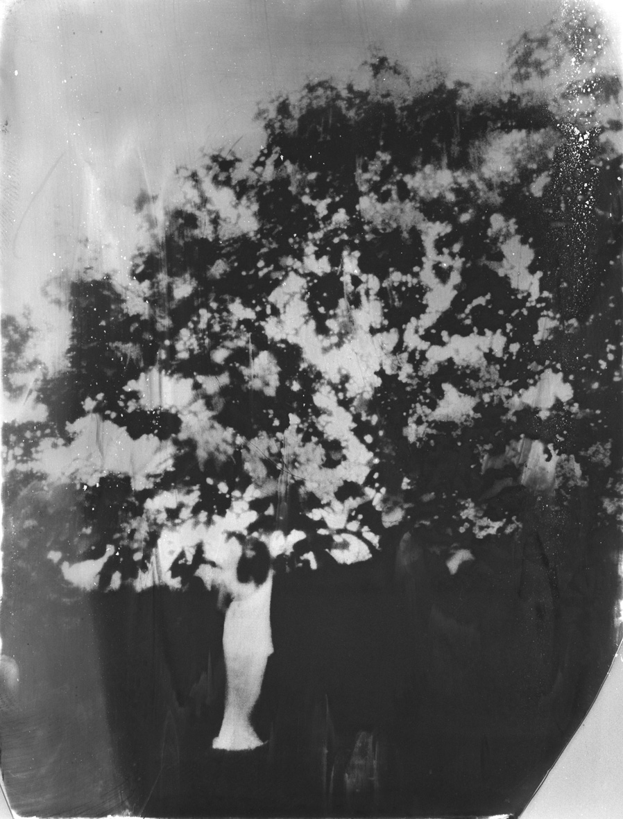 instaCDV 11 Dryad n03